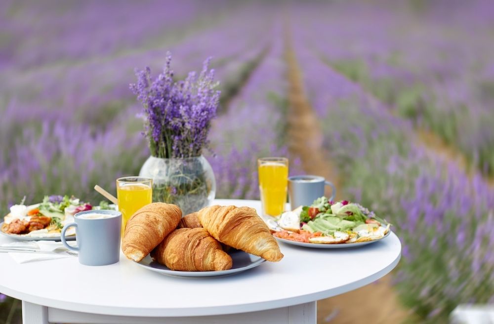A garden dining table decorated with lavender