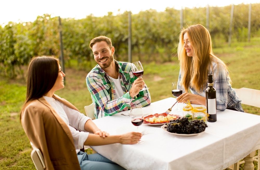 Bordeaux vineyard dinner