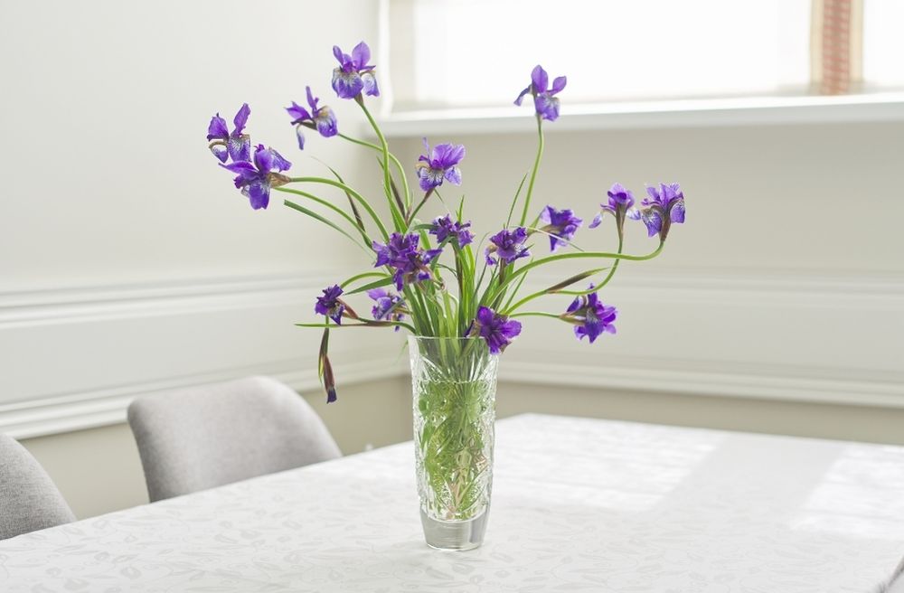 clear glass vase centerpiece