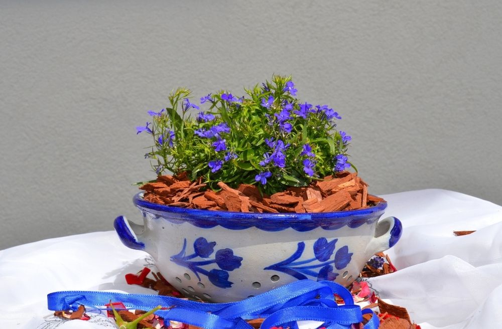 decorative ceramic bowl centerpiece