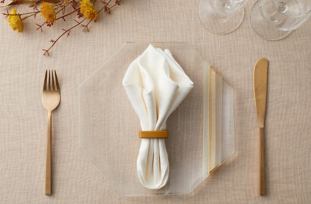 elegant napkin fold
