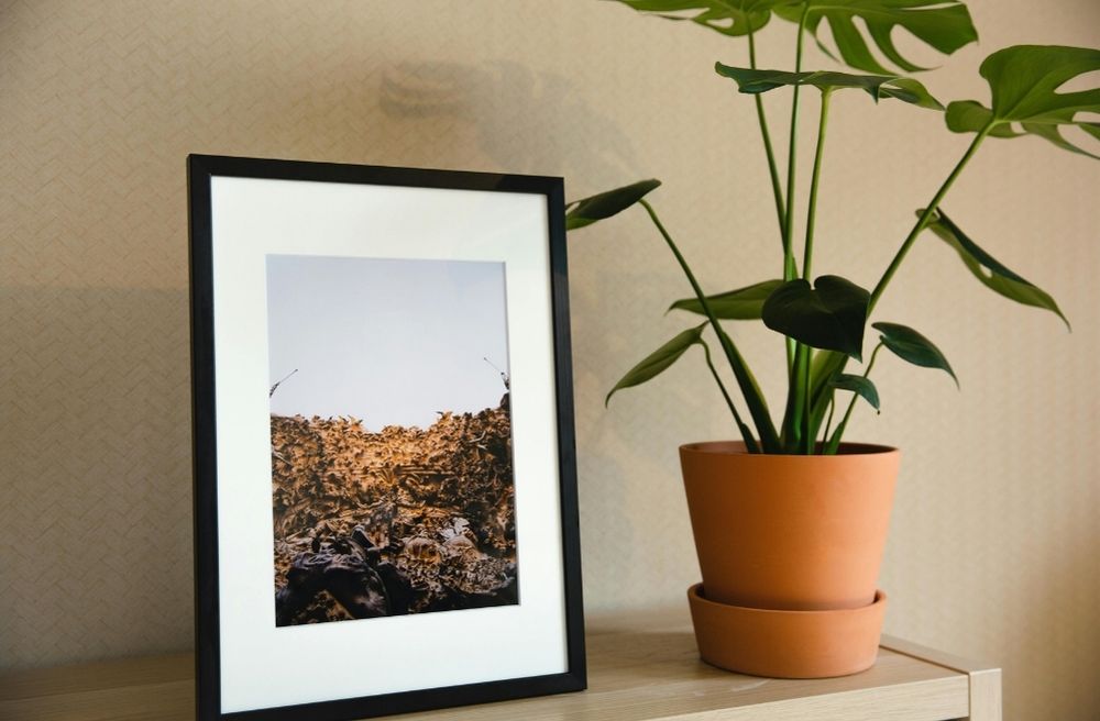 elegant picture frame home decor