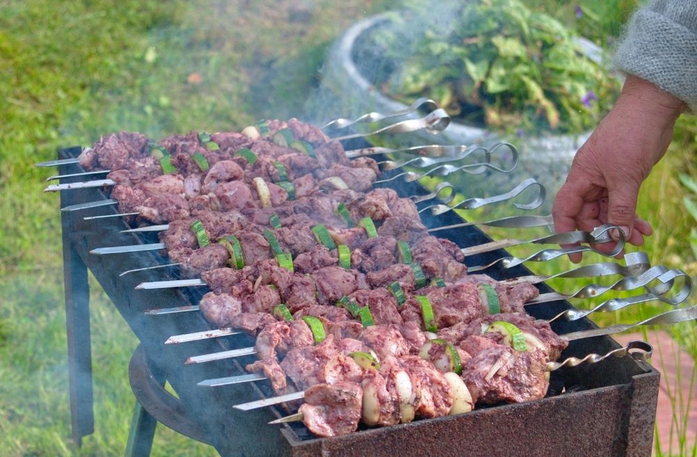 garden grilling dinner