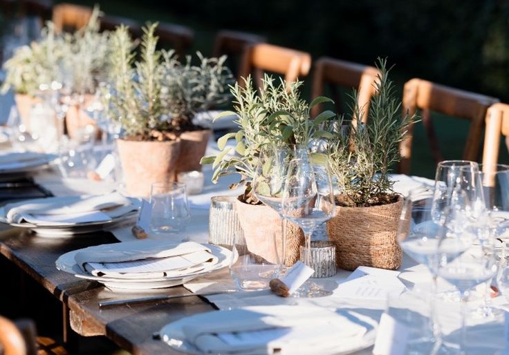 Mediterranean table fresh herbs decor
