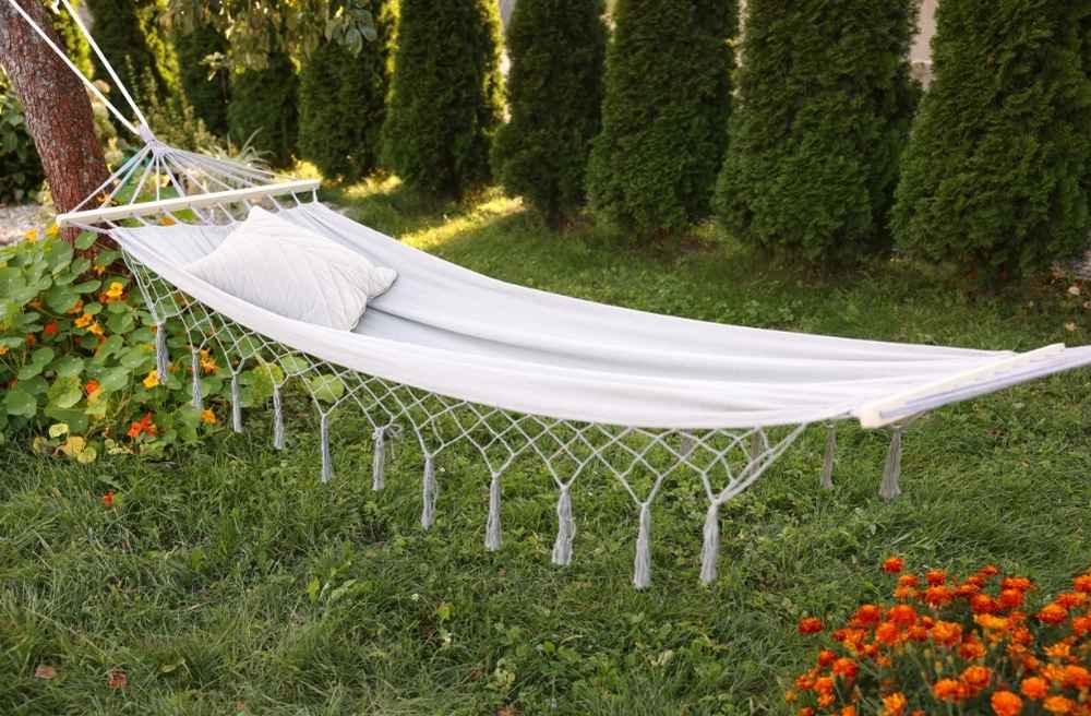 Backyard Party Ideas