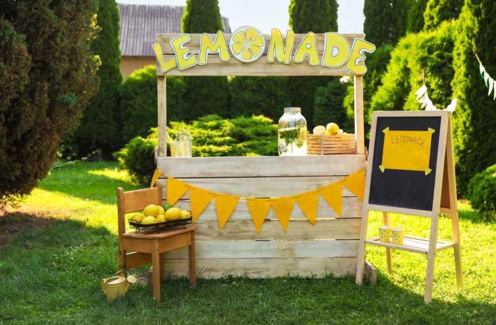 backyard lemonade stand