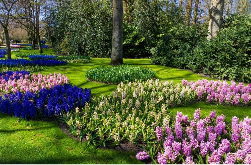 beautiful garden
