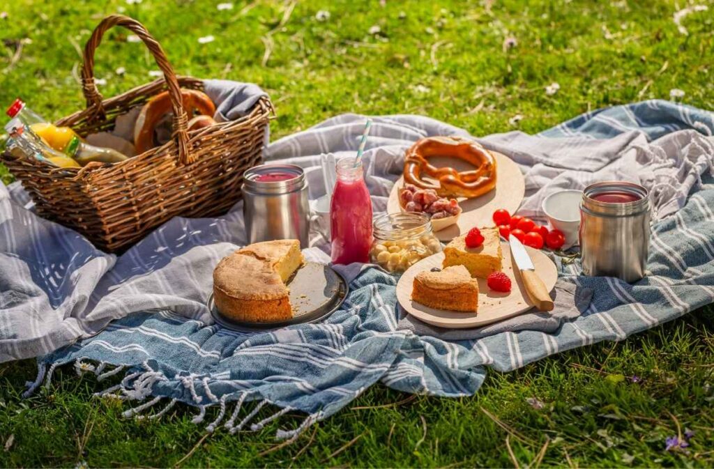 classic backyard picnic blanket setup