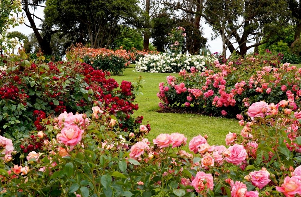 Garden Brunch Ideas
