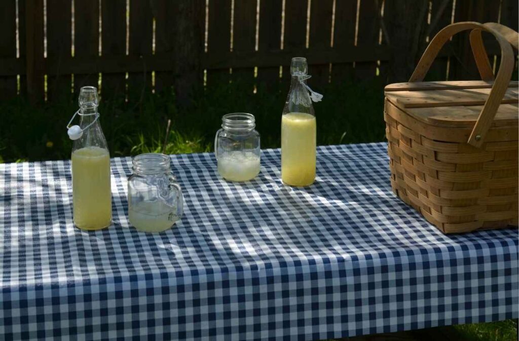 mason jar drinks backyard picnic