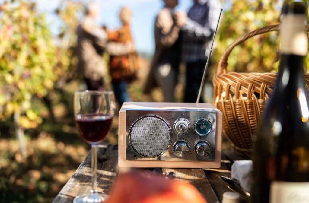 Backyard Picnic Party Ideas