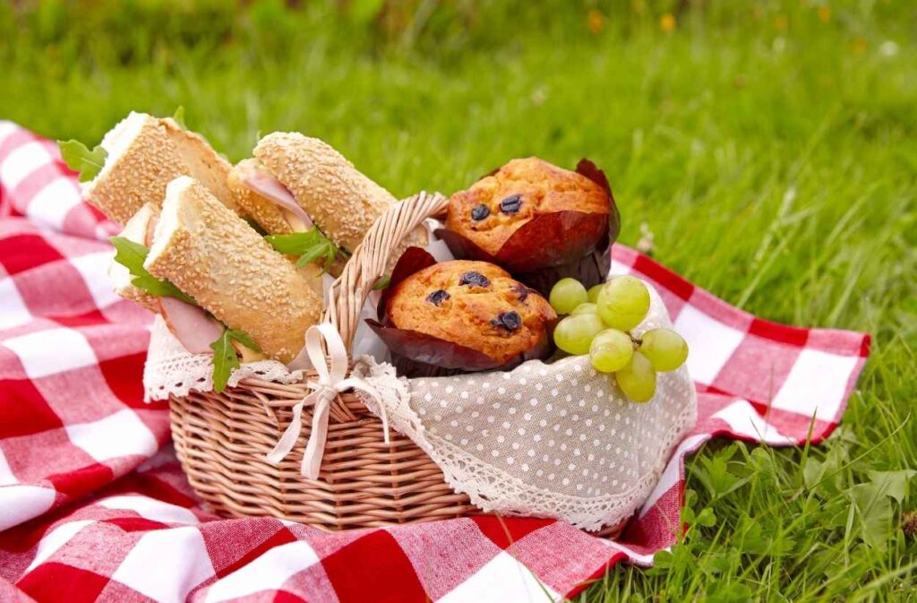 Backyard Picnic Party Ideas