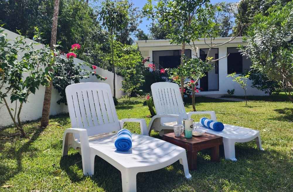 Backyard Party Ideas