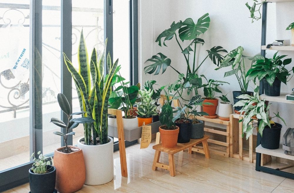Budget-Friendly Party Decor Ideas