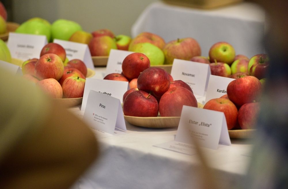 apple tasting party