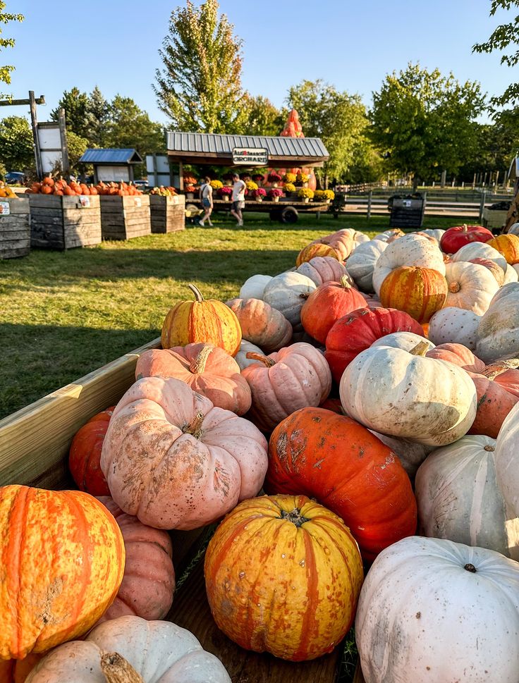 fall harvest gathering ideas