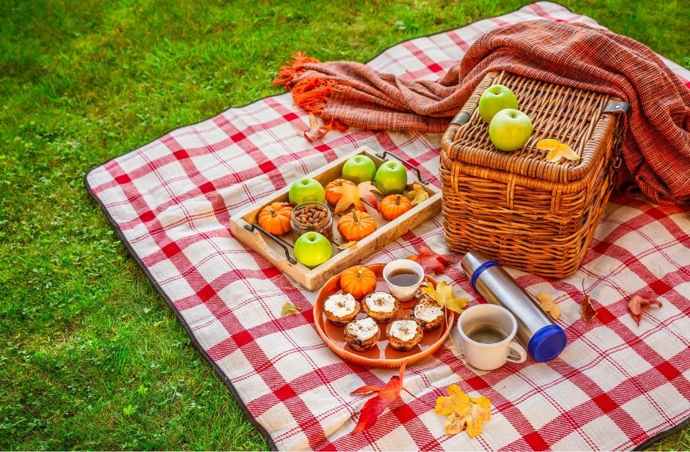 fall harvest gathering ideas
