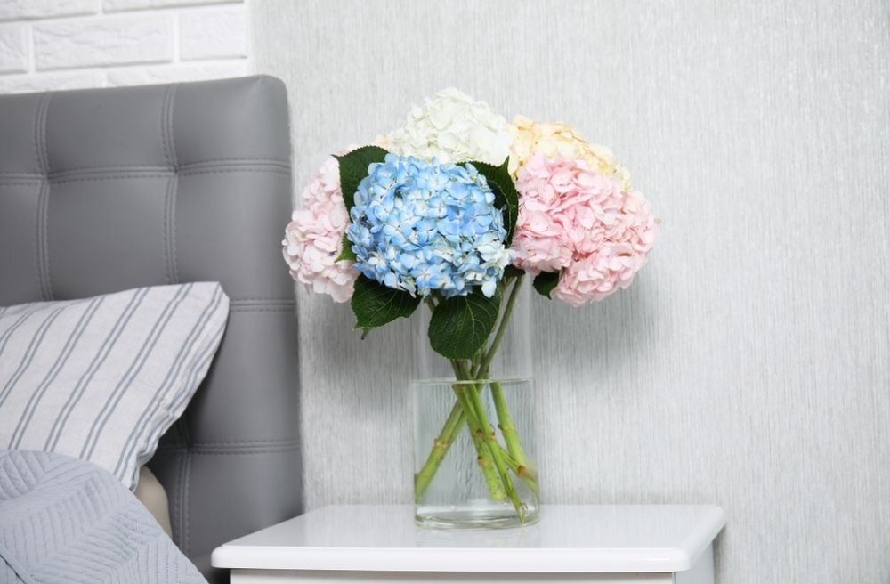 Cozy Guest Bedroom Ideas