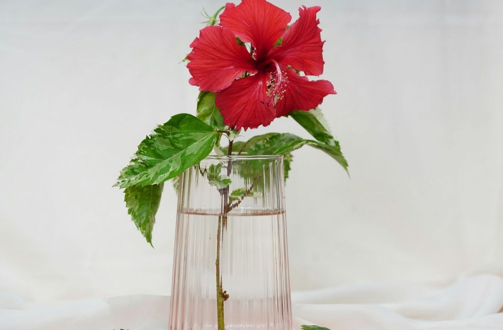 single flower vase centerpiece