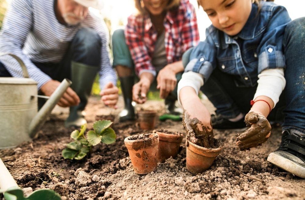 how to host a family friendly backyard party